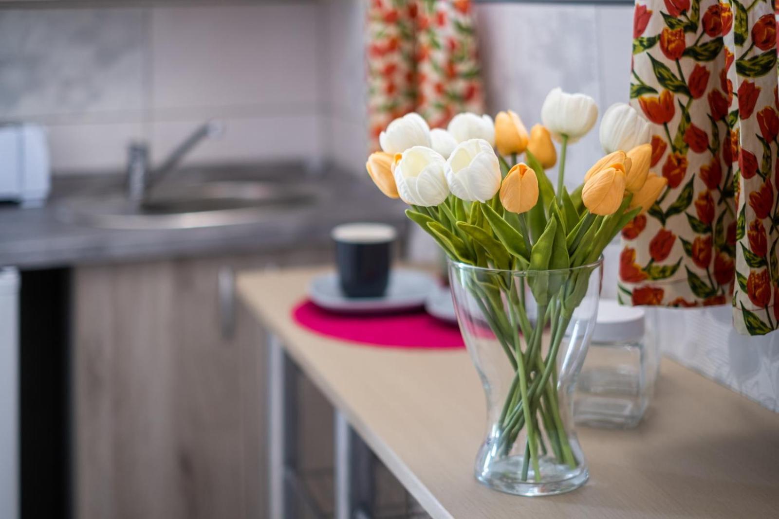 Szuerke Vendeghaz Balatonkenesen Apartment Bagian luar foto